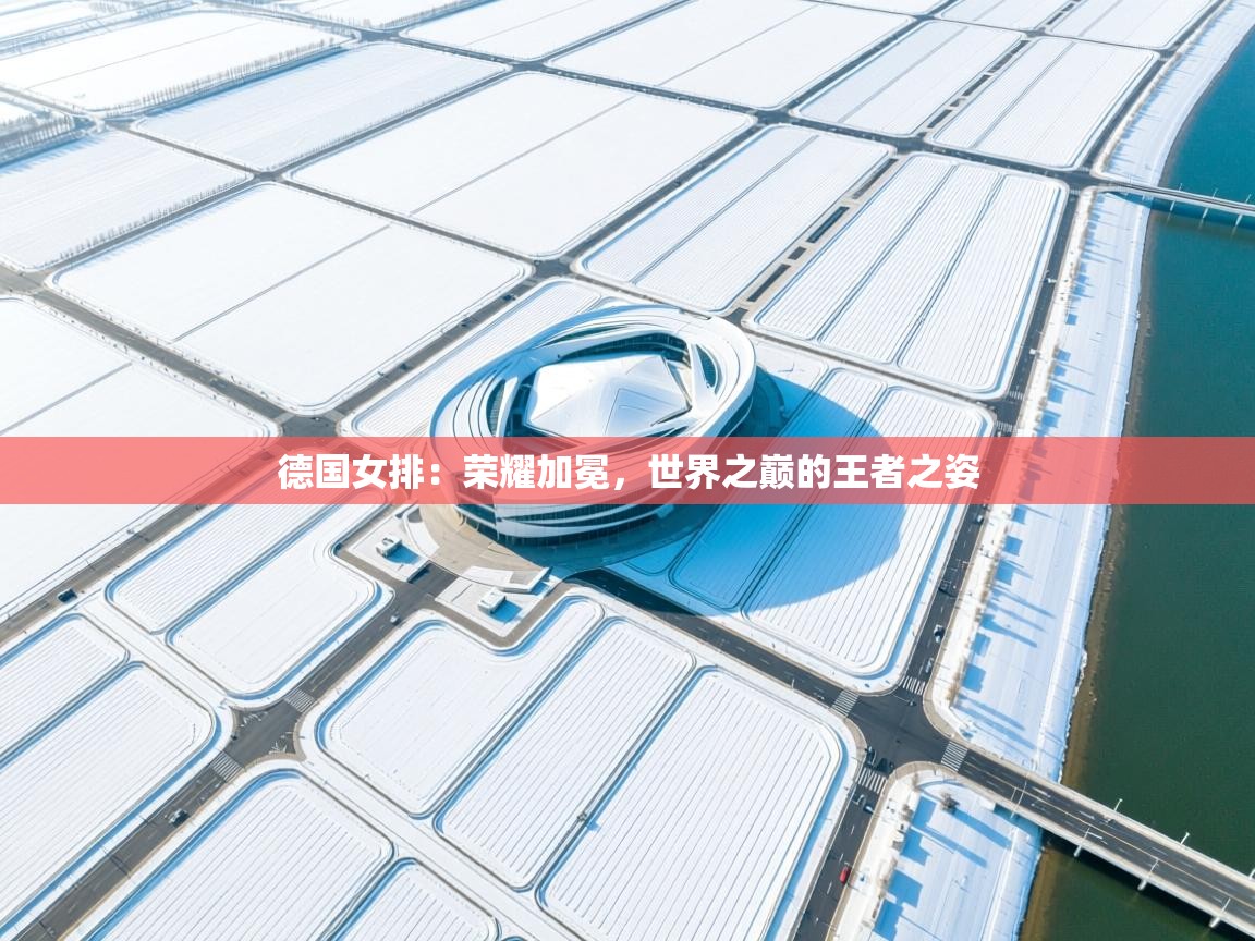 德国女排：荣耀加冕，世界之巅的王者之姿  第1张