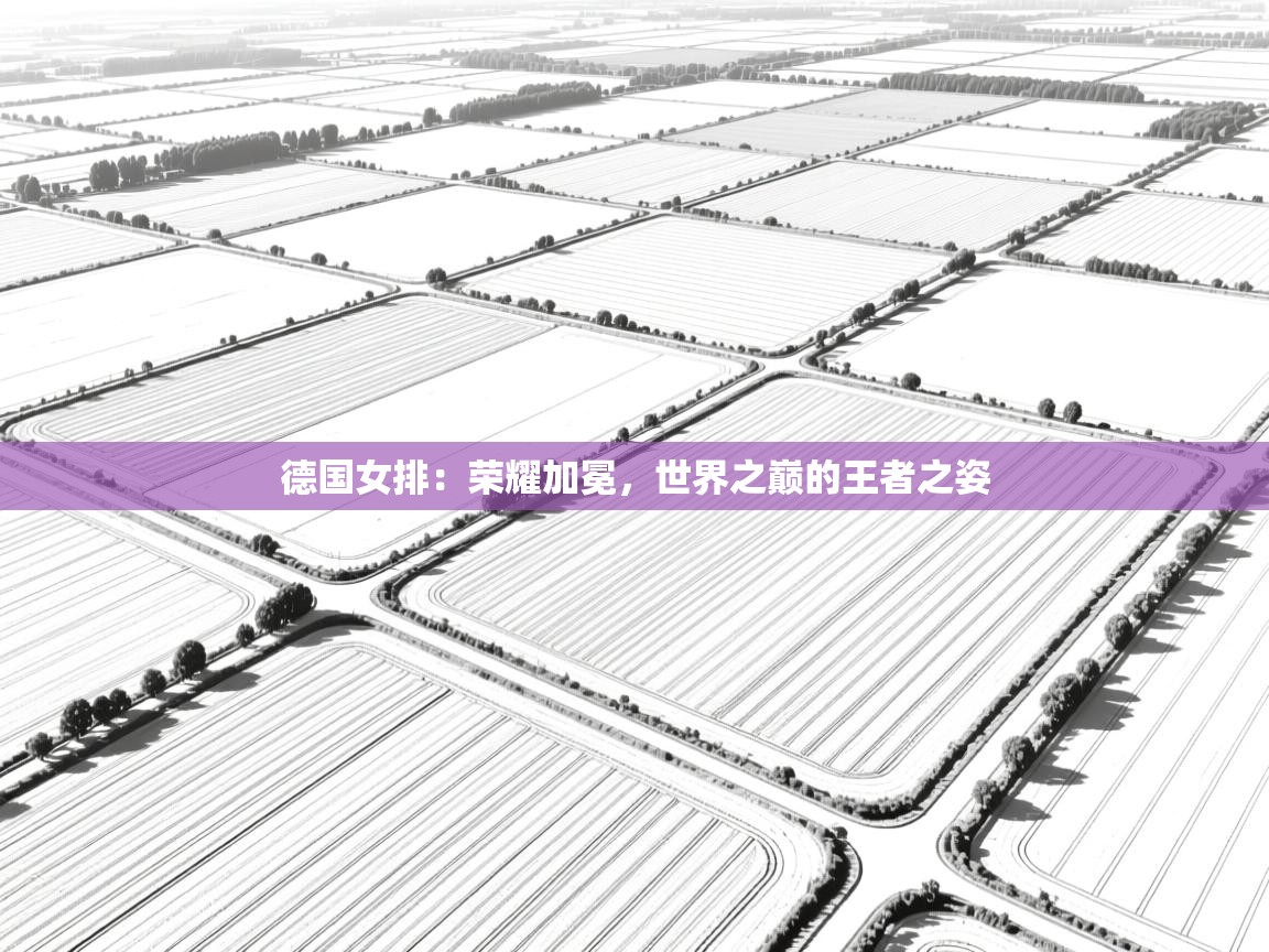 德国女排：荣耀加冕，世界之巅的王者之姿  第2张